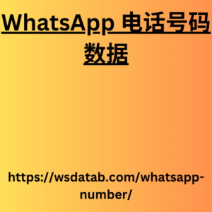 WhatsApp 电话号码数据