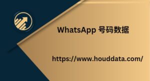 WhatsApp 号码数据