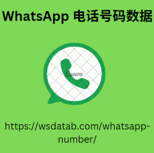 WhatsApp 电话号码数据