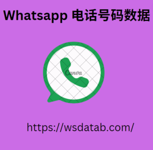 Whatsapp 电话号码数据