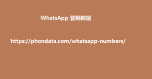 WhatsApp 营销数据