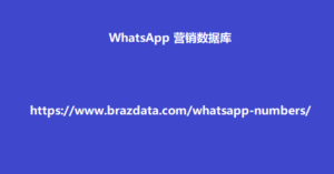 WhatsApp 营销数据库