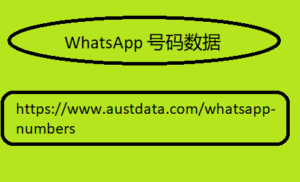 WhatsApp 号码数据